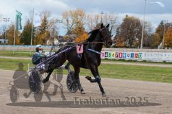 Dateiname=20251026_r03_074_R03_0244.jpg
Dateigröße=311KB
Abmessungen: 1000x667
hinzugefügt am: 27. Oktober 2025 20251026_r03_074_R03_0244.jpg