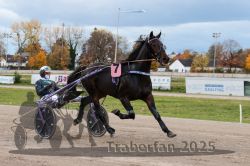 Dateiname=20251026_r03_075_R03_0248.jpg
Dateigröße=288KB
Abmessungen: 1000x667
hinzugefügt am: 27. Oktober 2025 20251026_r03_075_R03_0248.jpg