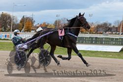 Dateiname=20251026_r03_076_R03_0252.jpg
Dateigröße=268KB
Abmessungen: 1000x667
hinzugefügt am: 27. Oktober 2025 20251026_r03_076_R03_0252.jpg