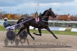 Dateiname=20251026_r03_077_R03_0256.jpg
Dateigröße=261KB
Abmessungen: 1000x667
hinzugefügt am: 27. Oktober 2025 20251026_r03_077_R03_0256.jpg