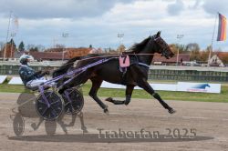 Dateiname=20251026_r03_079_R03_0260.jpg
Dateigröße=260KB
Abmessungen: 1000x667
hinzugefügt am: 27. Oktober 2025 20251026_r03_079_R03_0260.jpg