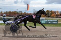 Dateiname=20251026_r03_080_R03_0264.jpg
Dateigröße=251KB
Abmessungen: 1000x667
hinzugefügt am: 27. Oktober 2025 20251026_r03_080_R03_0264.jpg