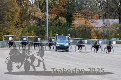 Dateiname=20251026_r03_081_R03_0266.jpg
Dateigröße=404KB
Abmessungen: 1000x667
hinzugefügt am: 27. Oktober 2025 20251026_r03_081_R03_0266.jpg