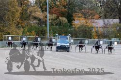 Dateiname=20251026_r03_082_R03_0270.jpg
Dateigröße=402KB
Abmessungen: 1000x667
hinzugefügt am: 27. Oktober 2025 20251026_r03_082_R03_0270.jpg