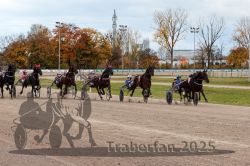 Dateiname=20251026_r03_083_R03_0272.jpg
Dateigröße=366KB
Abmessungen: 1000x667
hinzugefügt am: 27. Oktober 2025 20251026_r03_083_R03_0272.jpg