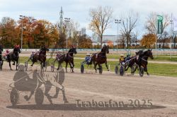 Dateiname=20251026_r03_084_R03_0276.jpg
Dateigröße=359KB
Abmessungen: 1000x667
hinzugefügt am: 27. Oktober 2025 20251026_r03_084_R03_0276.jpg