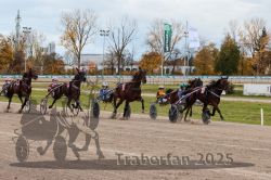 Dateiname=20251026_r03_085_R03_0282.jpg
Dateigröße=341KB
Abmessungen: 1000x667
hinzugefügt am: 27. Oktober 2025 20251026_r03_085_R03_0282.jpg