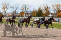 Dateiname=20251026_r03_086_R03_0286.jpg
Dateigröße=377KB
Abmessungen: 1000x667
hinzugefügt am: 27. Oktober 2025 20251026_r03_086_R03_0286.jpg