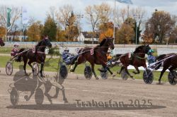 Dateiname=20251026_r03_087_R03_0294.jpg
Dateigröße=344KB
Abmessungen: 1000x667
hinzugefügt am: 27. Oktober 2025 20251026_r03_087_R03_0294.jpg