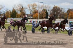 Dateiname=20251026_r03_088_R03_0297.jpg
Dateigröße=361KB
Abmessungen: 1000x667
hinzugefügt am: 27. Oktober 2025 20251026_r03_088_R03_0297.jpg