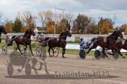 Dateiname=20251026_r03_089_R03_0301.jpg
Dateigröße=329KB
Abmessungen: 1000x667
hinzugefügt am: 27. Oktober 2025 20251026_r03_089_R03_0301.jpg