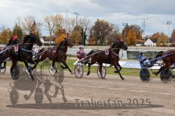 Dateiname=20251026_r03_090_R03_0304.jpg
Dateigröße=338KB
Abmessungen: 1000x667
hinzugefügt am: 27. Oktober 2025 20251026_r03_090_R03_0304.jpg