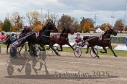 Dateiname=20251026_r03_091_R03_0307.jpg
Dateigröße=334KB
Abmessungen: 1000x667
hinzugefügt am: 27. Oktober 2025 20251026_r03_091_R03_0307.jpg