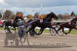 Dateiname=20251026_r03_093_R03_0313.jpg
Dateigröße=271KB
Abmessungen: 1000x667
hinzugefügt am: 27. Oktober 2025 20251026_r03_093_R03_0313.jpg