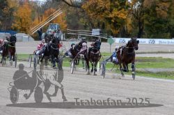 Dateiname=20251026_r03_128_R03_0433.jpg
Dateigröße=319KB
Abmessungen: 1000x667
hinzugefügt am: 27. Oktober 2025 20251026_r03_128_R03_0433.jpg