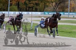 Dateiname=20251026_r03_135_R03_0454.jpg
Dateigröße=297KB
Abmessungen: 1000x667
hinzugefügt am: 27. Oktober 2025 20251026_r03_135_R03_0454.jpg