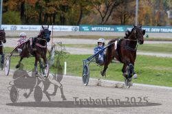 Dateiname=20251026_r03_136_R03_0457.jpg
Dateigröße=303KB
Abmessungen: 1000x667
hinzugefügt am: 27. Oktober 2025 20251026_r03_136_R03_0457.jpg