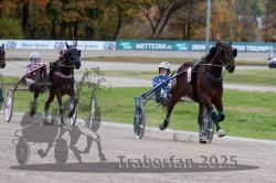 Dateiname=20251026_r03_137_R03_0458.jpg
Dateigröße=295KB
Abmessungen: 1000x667
hinzugefügt am: 27. Oktober 2025 20251026_r03_137_R03_0458.jpg