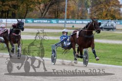 Dateiname=20251026_r03_138_R03_0461.jpg
Dateigröße=291KB
Abmessungen: 1000x667
hinzugefügt am: 27. Oktober 2025 20251026_r03_138_R03_0461.jpg