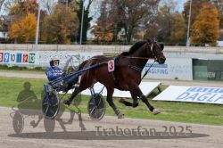 Dateiname=20251026_r03_139_R03_0466.jpg
Dateigröße=307KB
Abmessungen: 1000x667
hinzugefügt am: 27. Oktober 2025 20251026_r03_139_R03_0466.jpg