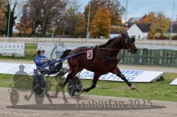 Dateiname=20251026_r03_140_R03_0469.jpg
Dateigröße=303KB
Abmessungen: 1000x667
hinzugefügt am: 27. Oktober 2025 20251026_r03_140_R03_0469.jpg