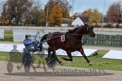 Dateiname=20251026_r03_141_R03_0470.jpg
Dateigröße=300KB
Abmessungen: 1000x667
hinzugefügt am: 27. Oktober 2025 20251026_r03_141_R03_0470.jpg