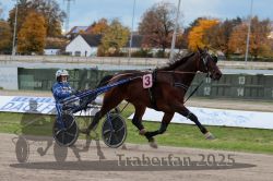 Dateiname=20251026_r03_142_R03_0473.jpg
Dateigröße=292KB
Abmessungen: 1000x667
hinzugefügt am: 27. Oktober 2025 20251026_r03_142_R03_0473.jpg