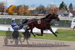 Dateiname=20251026_r03_143_R03_0477.jpg
Dateigröße=274KB
Abmessungen: 1000x667
hinzugefügt am: 27. Oktober 2025 20251026_r03_143_R03_0477.jpg