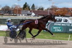 Dateiname=20251026_r03_144_R03_0480.jpg
Dateigröße=289KB
Abmessungen: 1000x667
hinzugefügt am: 27. Oktober 2025 20251026_r03_144_R03_0480.jpg