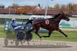 Dateiname=20251026_r03_145_R03_0484.jpg
Dateigröße=292KB
Abmessungen: 1000x667
hinzugefügt am: 27. Oktober 2025 20251026_r03_145_R03_0484.jpg