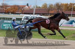 Dateiname=20251026_r03_146_R03_0485.jpg
Dateigröße=293KB
Abmessungen: 1000x667
hinzugefügt am: 27. Oktober 2025 20251026_r03_146_R03_0485.jpg