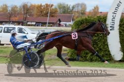 Dateiname=20251026_r03_147_R03_0488.jpg
Dateigröße=288KB
Abmessungen: 1000x667
hinzugefügt am: 27. Oktober 2025 20251026_r03_147_R03_0488.jpg