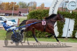 Dateiname=20251026_r03_148_R03_0489.jpg
Dateigröße=297KB
Abmessungen: 1000x667
hinzugefügt am: 27. Oktober 2025 20251026_r03_148_R03_0489.jpg