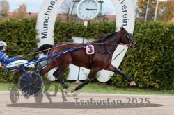 Dateiname=20251026_r03_149_R03_0491.jpg
Dateigröße=318KB
Abmessungen: 1000x667
hinzugefügt am: 27. Oktober 2025 20251026_r03_149_R03_0491.jpg