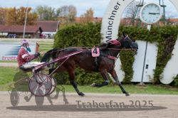 Dateiname=20251026_r03_152_R03_0499.jpg
Dateigröße=295KB
Abmessungen: 1000x667
hinzugefügt am: 27. Oktober 2025 20251026_r03_152_R03_0499.jpg