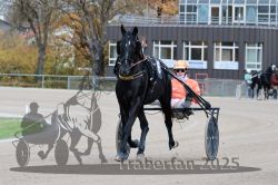 Dateiname=20251026_r04_001_R04_0002.jpg
Dateigröße=294KB
Abmessungen: 1000x667
hinzugefügt am: 28. Oktober 2025 20251026_r04_001_R04_0002.jpg