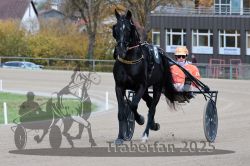 Dateiname=20251026_r04_002_R04_0007.jpg
Dateigröße=279KB
Abmessungen: 1000x667
hinzugefügt am: 28. Oktober 2025 20251026_r04_002_R04_0007.jpg