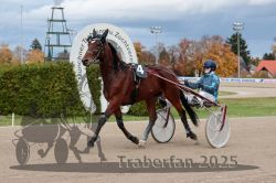 Dateiname=20251026_r04_046_R04_0190.jpg
Dateigröße=284KB
Abmessungen: 1000x667
hinzugefügt am: 28. Oktober 2025 20251026_r04_046_R04_0190.jpg