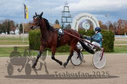 Dateiname=20251026_r04_047_R04_0195.jpg
Dateigröße=289KB
Abmessungen: 1000x667
hinzugefügt am: 28. Oktober 2025 20251026_r04_047_R04_0195.jpg