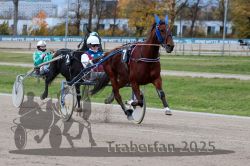 Dateiname=20251026_r04_048_R04_0199.jpg
Dateigröße=309KB
Abmessungen: 1000x667
hinzugefügt am: 28. Oktober 2025 20251026_r04_048_R04_0199.jpg