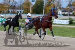 Dateiname=20251026_r04_050_R04_0206.jpg
Dateigröße=307KB
Abmessungen: 1000x667
hinzugefügt am: 28. Oktober 2025 20251026_r04_050_R04_0206.jpg