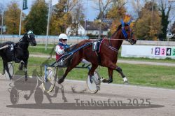 Dateiname=20251026_r04_051_R04_0209.jpg
Dateigröße=318KB
Abmessungen: 1000x667
hinzugefügt am: 28. Oktober 2025 20251026_r04_051_R04_0209.jpg