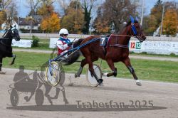 Dateiname=20251026_r04_052_R04_0213.jpg
Dateigröße=319KB
Abmessungen: 1000x667
hinzugefügt am: 28. Oktober 2025 20251026_r04_052_R04_0213.jpg