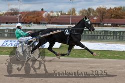 Dateiname=20251026_r04_056_R04_0230.jpg
Dateigröße=270KB
Abmessungen: 1000x667
hinzugefügt am: 28. Oktober 2025 20251026_r04_056_R04_0230.jpg