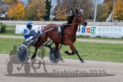 Dateiname=20251026_r04_060_R04_0240.jpg
Dateigröße=300KB
Abmessungen: 1000x667
hinzugefügt am: 28. Oktober 2025 20251026_r04_060_R04_0240.jpg