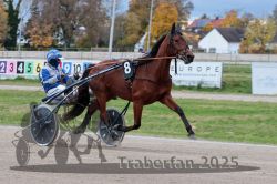 Dateiname=20251026_r04_061_R04_0243.jpg
Dateigröße=301KB
Abmessungen: 1000x667
hinzugefügt am: 28. Oktober 2025 20251026_r04_061_R04_0243.jpg