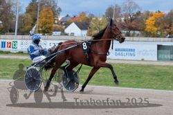 Dateiname=20251026_r04_062_R04_0246.jpg
Dateigröße=303KB
Abmessungen: 1000x667
hinzugefügt am: 28. Oktober 2025 20251026_r04_062_R04_0246.jpg