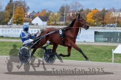 Dateiname=20251026_r04_063_R04_0247.jpg
Dateigröße=295KB
Abmessungen: 1000x667
hinzugefügt am: 28. Oktober 2025 20251026_r04_063_R04_0247.jpg