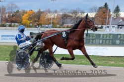 Dateiname=20251026_r04_064_R04_0251.jpg
Dateigröße=287KB
Abmessungen: 1000x667
hinzugefügt am: 28. Oktober 2025 20251026_r04_064_R04_0251.jpg