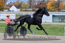 Dateiname=20251026_r04_085_R04_0303.jpg
Dateigröße=291KB
Abmessungen: 1000x667
hinzugefügt am: 28. Oktober 2025 20251026_r04_085_R04_0303.jpg